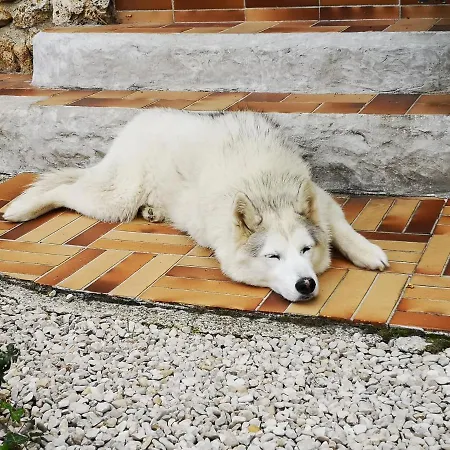 Le Temps D Une Pause A Boursault Exterior foto