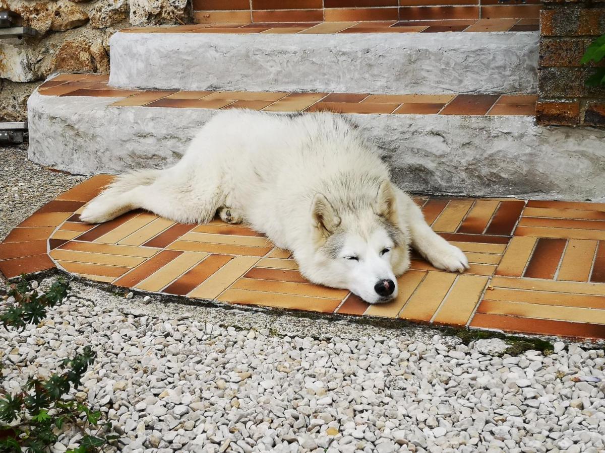 Hébergement de vacances Le Temps D Pause à